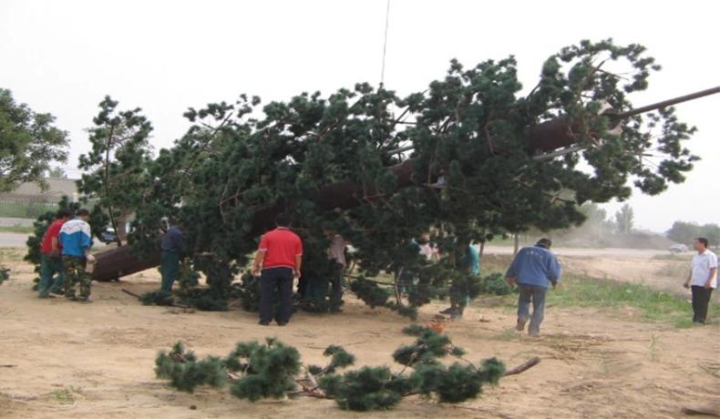 تطبيقات متعددة الاستخدامات لبرج مونوبول التمويه